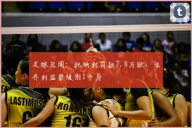 足球丑闻：托纳利罚款7.8万欧，法乔利监禁缓刑1个月